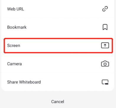 screen option in Zoom mobile app